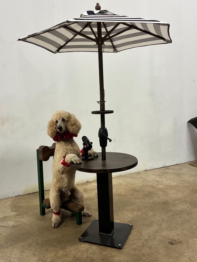 Pappy the Poodle seated at a café table